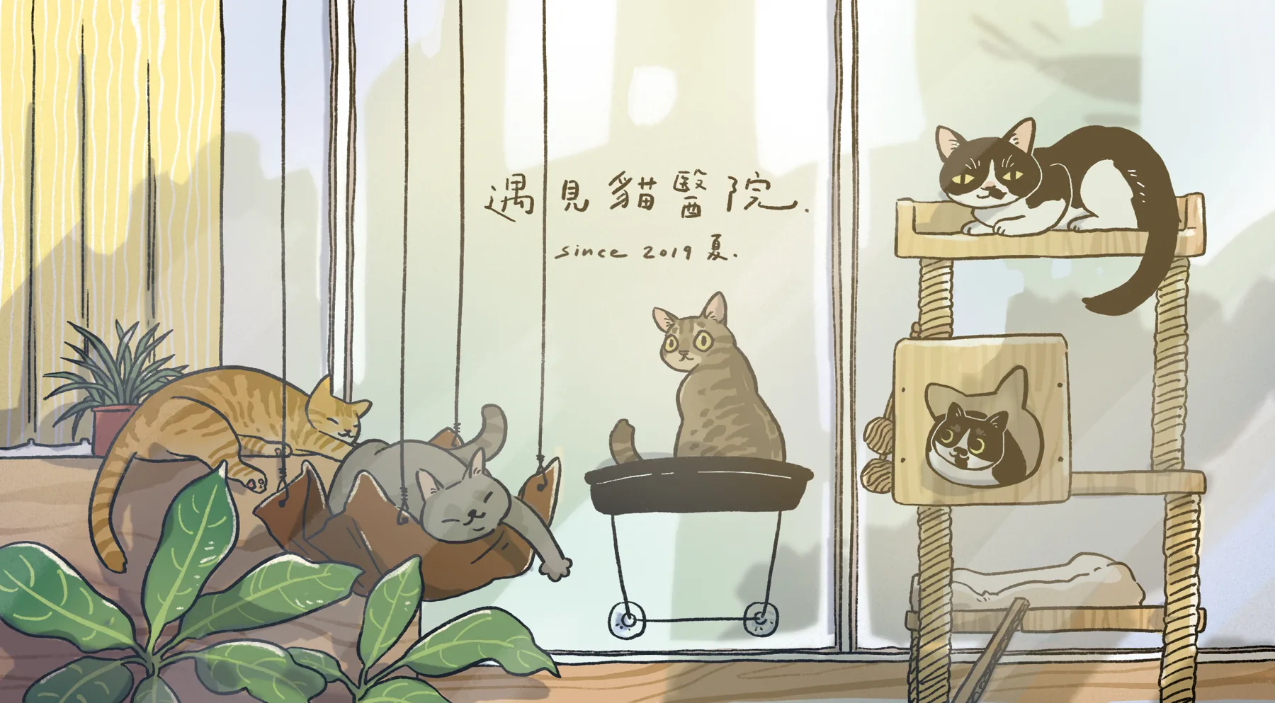 遇見貓醫院